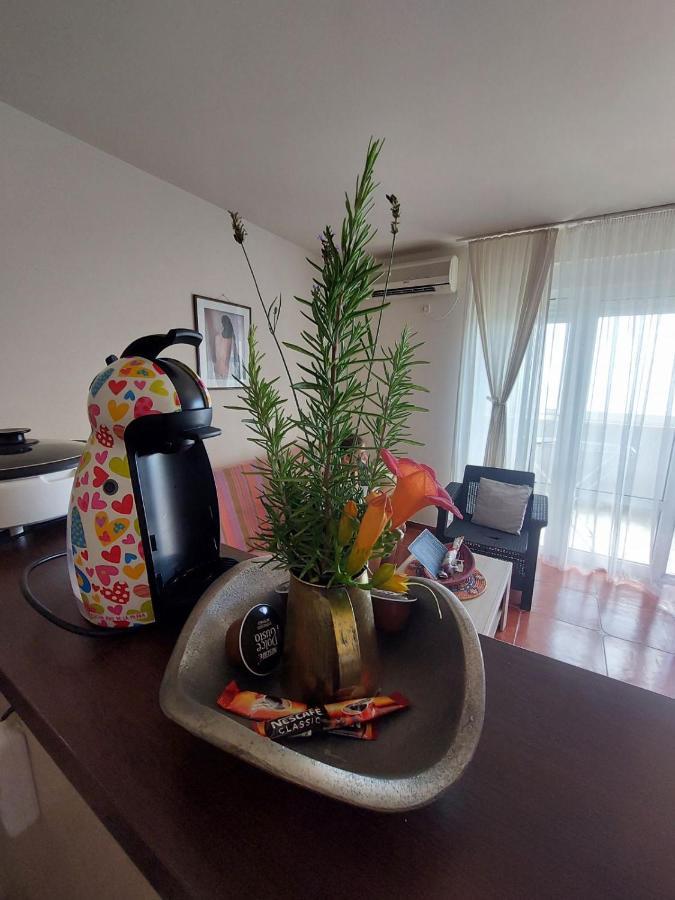 Casa Al Mare Petrovac, Montenegro מראה חיצוני תמונה